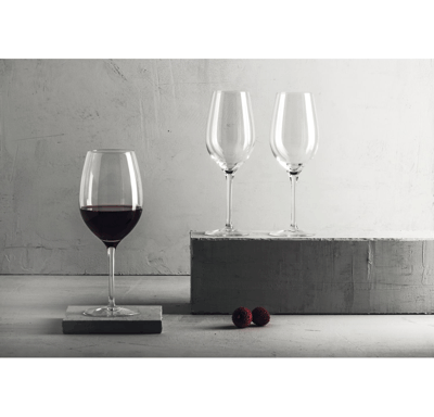 Ilios Weinglas für Rotwein